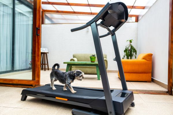 Treadmill Installation in Owensboro