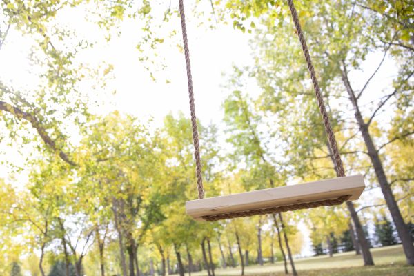 Tree Swing Installation in Owensboro