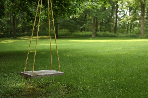 Rope Swing Installation in Owensboro