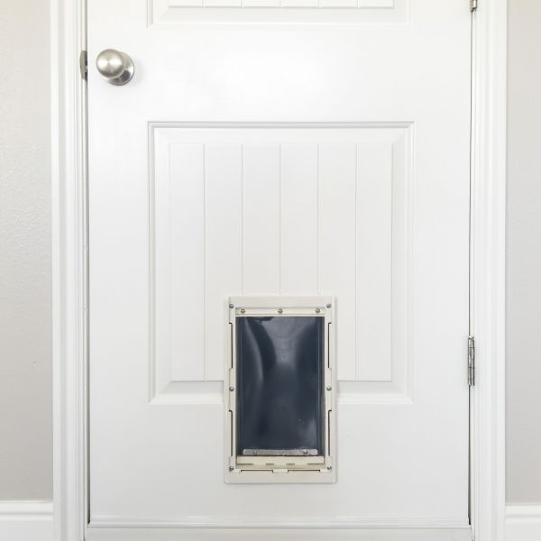 Pet Door Repair in Owensboro